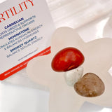 Intention Crystal Packs