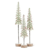 Medium Tall Snowy Tree